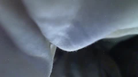 Milk Me online show from 05/27/26, 09:12