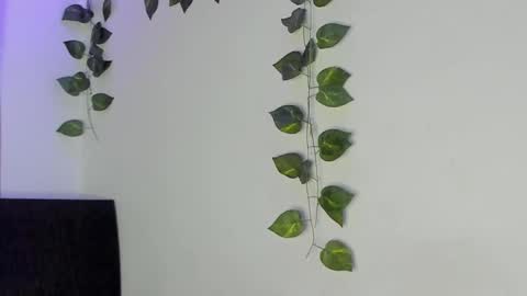 Jenn online show from 02/04/26, 01:44