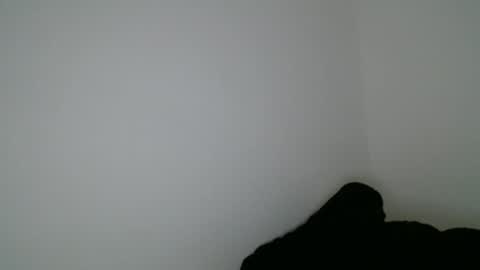 luana online show from 01/15/26, 09:51