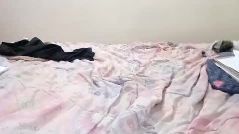 luanapowerful online show from 02/11/25, 05:05