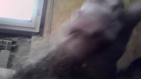 Snapshot of lucafava90 chatting on 01/04/25, 09:32 lucafava90 online show from 01/04/25, 09:32