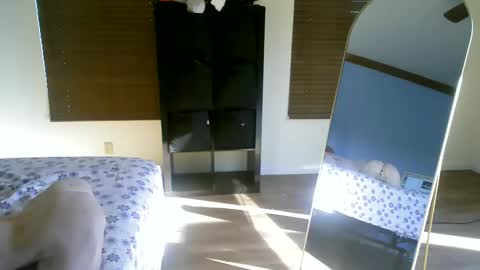 Snapshot of luchamuscles chatting on 12/05/24, 10:01 luchamuscles online show from 12/05/24, 10:01