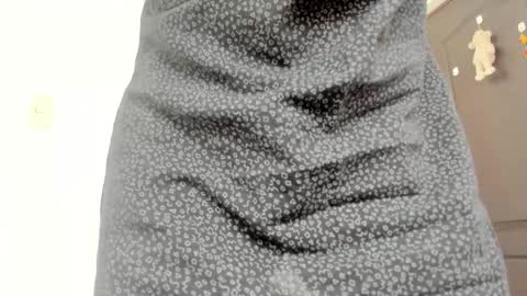 Lucia online show from 01/31/26, 07:11