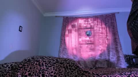 Snapshot of luciana_evaans chatting on 11/19/25, 03:23 Luciana Evans online show from 11/19/25, 03:23