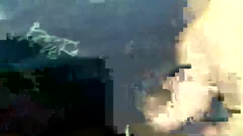 lucienal online show from 11/24/25, 03:50