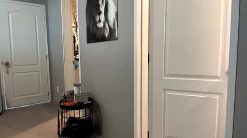 Snapshot of lucious_stace chatting on 09/22/25, 03:47 lucious_stace online show from 09/22/25, 03:47