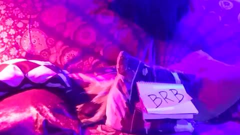 Snapshot of luckazy chatting on 01/04/25, 06:52 Lucky Eid Azy online show from 01/04/25, 06:52