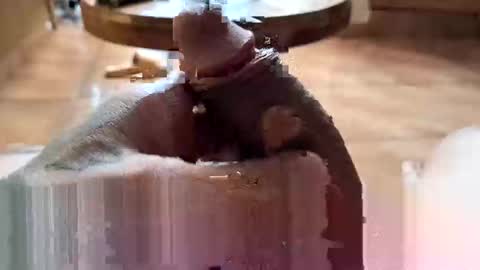 lucky_og24 online show from 12/27/24, 10:37