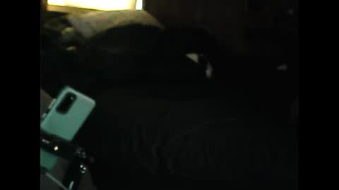 Snapshot of luckyblondecouple chatting on 12/09/24, 02:28 LuckyBlondeCouple online show from 12/09/24, 02:28