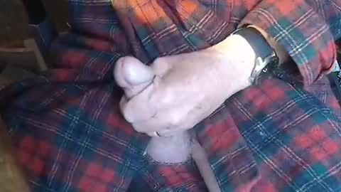 BIG Daddy cock. Tips make it harder  online show from 05/23/26, 09:24