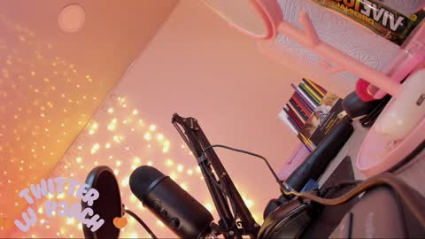 Snapshot of lucyy_peach chatting on 01/25/25, 03:09 LUCYY FROM HOME  online show from 01/25/25, 03:09