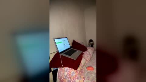 Luisa Monsters online show from 02/23/26, 11:57