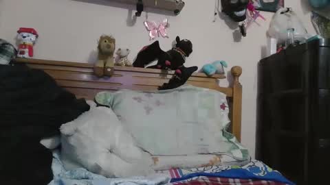 Snapshot of luismiastarot chatting on 10/28/25, 01:53 luismiastarot online show from 10/28/25, 01:53