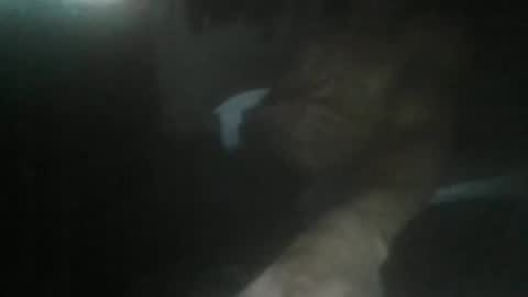 Snapshot of luizs23 chatting on 11/05/25, 05:07 luizs23 online show from 11/05/25, 05:07