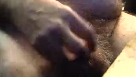 lukestarfckr online show from 09/11/25, 09:20