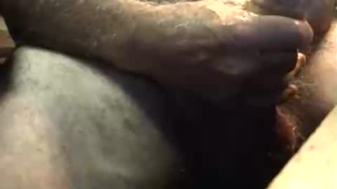 lukestarfckr online show from 10/05/25, 05:50