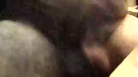 lukestarfckr online show from 10/09/25, 09:40