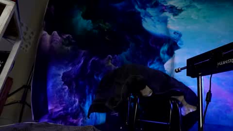 lukewilde online show from 02/24/25, 11:32