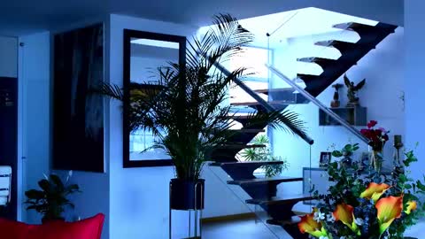 Lukhas f4f online show from 02/08/26, 07:28