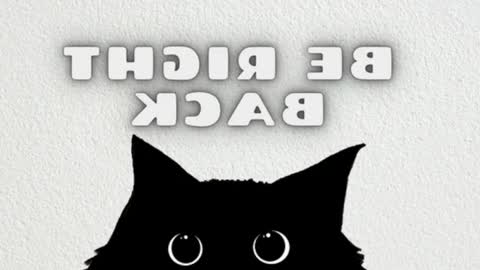 elizabeth online show from 03/06/26, 12:18