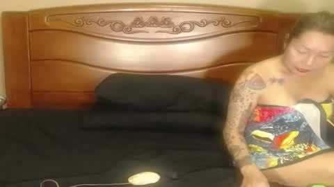 lulu_wild online show from 02/25/26, 11:14