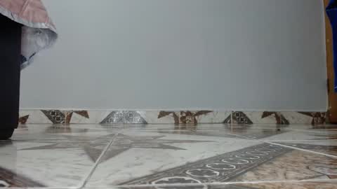 Luna--Blueberry online show from 12/14/25, 04:40