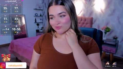 Snapshot of luna_volk chatting on 11/26/25, 02:45 Luna online show from 11/26/25, 02:45