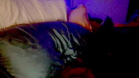 Snapshot of lunadaddysgirl chatting on 11/25/25, 09:20 Luna Daddys Girl online show from 11/25/25, 09:20