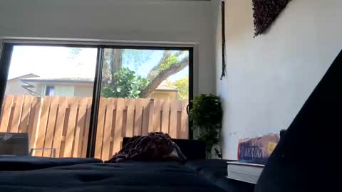 lunaloopzz online show from 03/11/26, 05:52