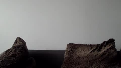 Snapshot of lupine_666 chatting on 01/05/25, 10:32 Lupine online show from 01/05/25, 10:32