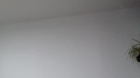 Snapshot of lupine_666 chatting on 09/17/25, 08:38 Lupine online show from 09/17/25, 08:38