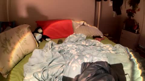 LOLA online show from 02/19/26, 05:03