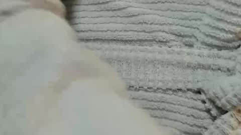 Snapshot of lustgardener67 chatting on 12/09/24, 06:03 lustgardener67 online show from 12/09/24, 06:03