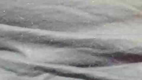 Snapshot of lustgardener67 chatting on 01/09/25, 11:24 lustgardener67 online show from 01/09/25, 11:24