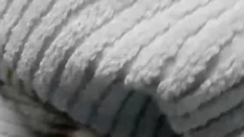 Snapshot of lustgardener67 chatting on 01/19/25, 07:15 lustgardener67 online show from 01/19/25, 07:15