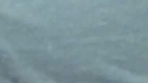 Snapshot of lustgardener67 chatting on 01/27/25, 10:06 lustgardener67 online show from 01/27/25, 10:06