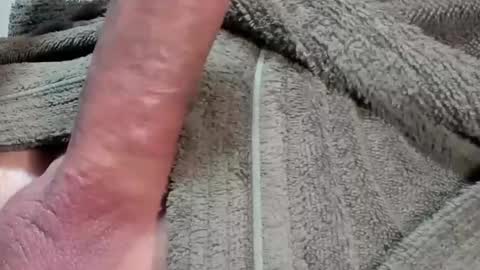 Snapshot of lustgardener67 chatting on 02/03/26, 07:46 lustgardener67 online show from 02/03/26, 07:46