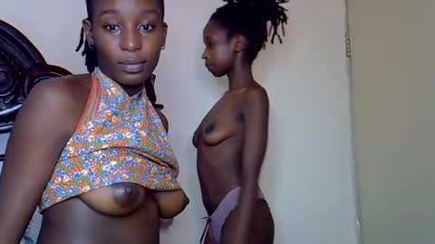 lutino_lovebirds online show from 03/14/26, 11:15