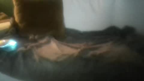 Snapshot of luvbigtits271 chatting on 01/01/25, 06:26 luvbigtits271 online show from 01/01/25, 06:26