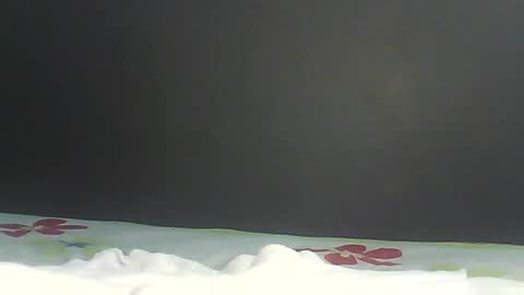 Bee Bee online show from 02/09/26, 01:42