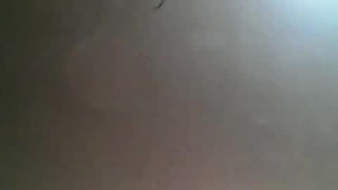 Bee Bee online show from 03/25/26, 04:29