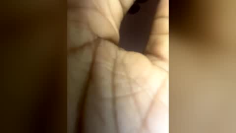 luvvlee online show from 06/29/26, 06:19