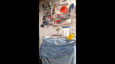 luxdasilva online show from 05/14/26, 06:26