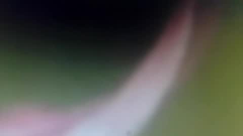 lydiasarch online show from 04/10/26, 08:24