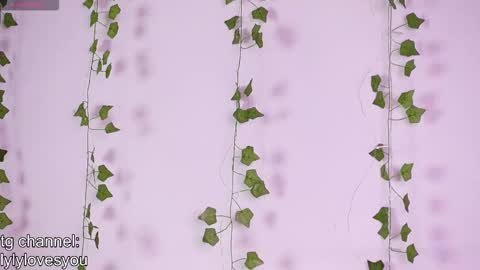 Lyly   online show from 11/18/25, 05:34