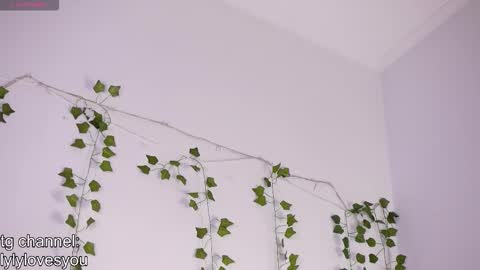 Lyly   online show from 11/24/25, 05:40