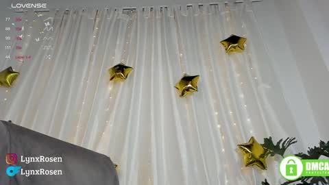 Snapshot of lynxrosen chatting on 01/18/25, 12:13 Lynx Rosen online show from 01/18/25, 12:13