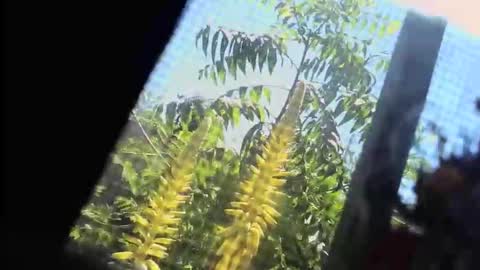 SLoppYxXPeeHoLeXxGspotxX online show from 02/22/26, 07:34