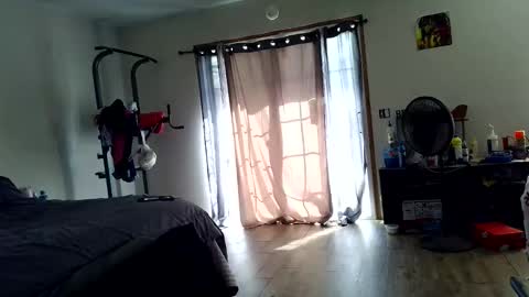 Snapshot of mace_shwanger chatting on 04/18/26, 04:00 Mace Shwanger online show from 04/18/26, 04:00