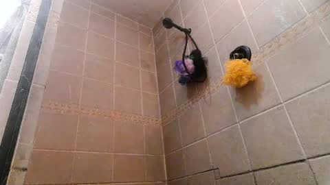 Mace Shwanger online show from 07/01/26, 07:57